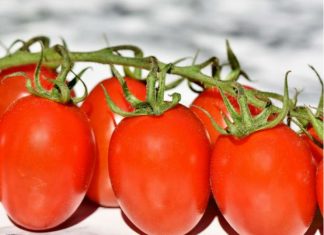 Δέσμευση τόνων ακατάλληλης ντομάτας σε επιχείρηση του Πειραιά