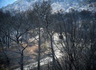 Καταγραφή ζημιών από την πυρκαγιά στην Κινέτα