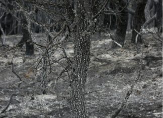 Eurobank: Διαθέτει 1 εκατ. ευρώ για αποκατάσταση υποδομών