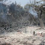 Πώς ο ΕΦΚΑ θα στηρίξει τους πυρόπληκτους
