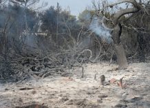 Πώς ο ΕΦΚΑ θα στηρίξει τους πυρόπληκτους