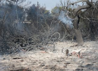 Πώς ο ΕΦΚΑ θα στηρίξει τους πυρόπληκτους
