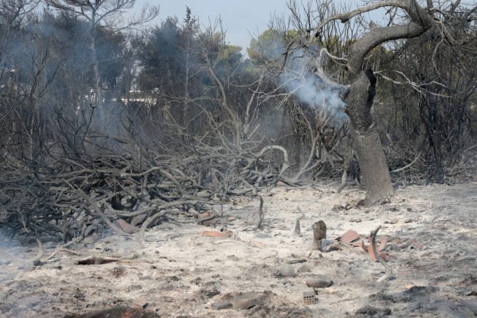 Πώς ο ΕΦΚΑ θα στηρίξει τους πυρόπληκτους