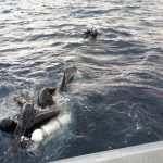 Ανασύρθηκε από το Λιμενικό νεκρός άνδρας στο Κόκκινο Λιμανάκι