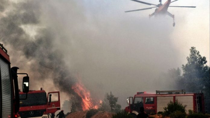 Αυτά είναι τα μέτρα για τους πληγέντες