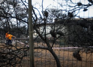 Έλληνες εισαγγελείς: Θα αποδοθούν ευθύνες για την πυρκαγιά