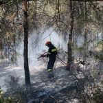 Στις φλόγες δάσος στην Αλεξανδρούπολη