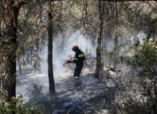 Στις φλόγες δάσος στην Αλεξανδρούπολη