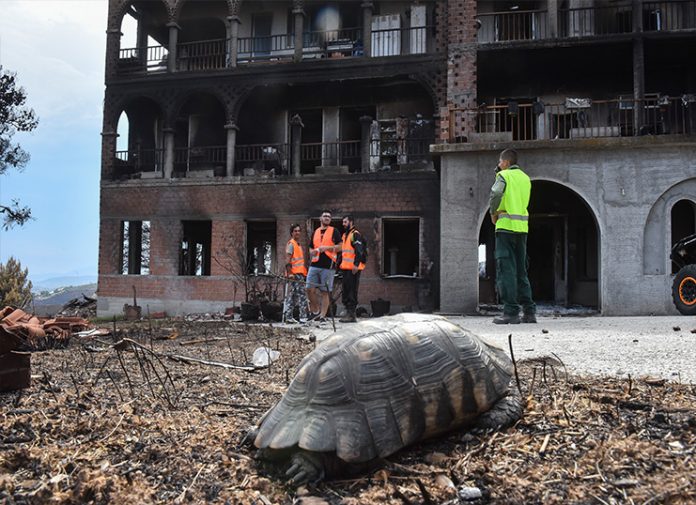 κοινωνικο πλυντήριο