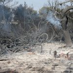 81 Νεκροί – Εξέπνευσε τραυματίας Αυξήθηκε ο αριθμός των θυμάτων
