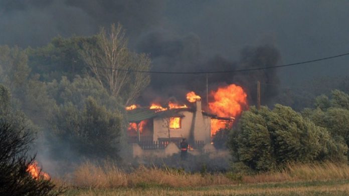 Φονικές πυρκαγιές: Ερευνα για την πρόσβαση των πολιτών στις παραλίες