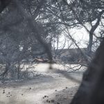 Ο αυστριακός Τύπος για τις πυρκαγιές στην Αττική Ο αυστριακός Τύπος για τις πυρκαγιές στην Αττική
