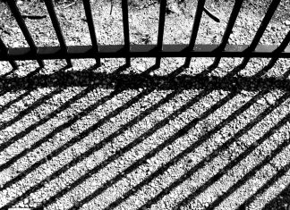 Προφυλακιστέος πρωταθλητής τζούντο που εμπλέκεται σε κύκλωμα κλοπών