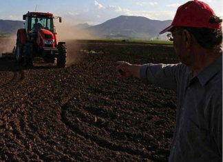 Σήμερα η καταβολή των αποζημιώσεων στους παραγωγούς που υπέστησαν ζημιές
