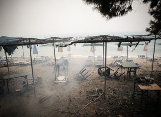 ΤΕΕ: Καλεί μηχανικούς σε εθελοντική συμμετοχή στην καταγραφή των ζημιών από τις πυρκαγιές