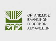 ΕΛΓΑ: Πληρώνει αποζημιώσεις 10,7 εκατ. ευρώ σε 8.825 παραγωγούς