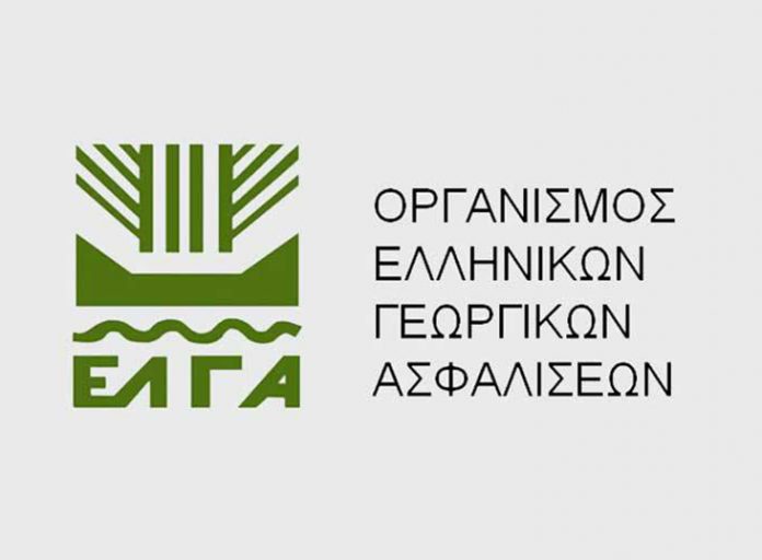 ΕΛΓΑ: Πληρώνει αποζημιώσεις 10,7 εκατ. ευρώ σε 8.825 παραγωγούς