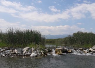 Φρίκη: Κρεμάστηκε σε δέντρο στην κοίτη του Πηνειού Φρίκη: Κρεμάστηκε σε δέντρο στην κοίτη του Πηνειού
