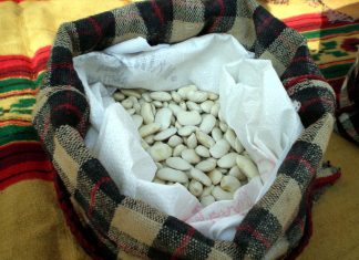 Μακρύ ταξίδι σε ΗΠΑ και Σαουδική Αραβία για τα φασόλια Πρεσπών