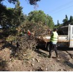Ανατροπές – σοκ στα βαρέα και ανθυγιεινά: Ποιους αφορούν Εν αναμονή του πορίσματος της επιτροπής που εξετάζει το επίδομα των βαρέων και ανθυγιεινών βρίσκονται χιλιάδες δημόσιοι υπάλληλοι.