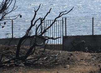 Στις 4.076 οι αιτήσεις πυρόπληκτων για το επίδομα