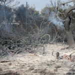 Στη Βουλή το ν/σ για την ανάπλαση στο Μάτι