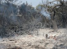 Στη Βουλή το ν/σ για την ανάπλαση στο Μάτι Στη Βουλή το ν/σ για την ανάπλαση στο Μάτι