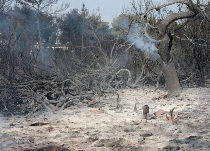 Στη Βουλή το ν/σ για την ανάπλαση στο Μάτι Στη Βουλή το ν/σ για την ανάπλαση στο Μάτι