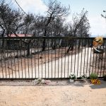 «Η αλήθεια για το οικόπεδο της φρίκης»: Τι λέει συγγενής της ιδιοκτήτριας "Η αλήθεια για το οικόπεδο της φρίκης": Τι λέει συγγενής της ιδιοκτήτριας