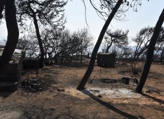 Αποκάλυψη – σοκ για το «μοιραίο» οικόπεδο στο Μάτι