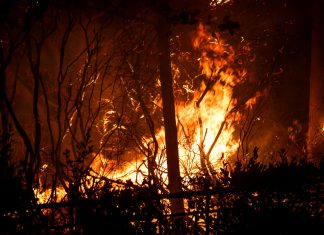 «Έκαψε» την Πυροσβεστική η Ι. Τσούπρα