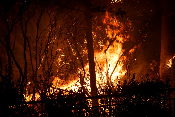 «Έκαψε» την Πυροσβεστική η Ι. Τσούπρα