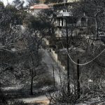 Φωτογραφία ντοκουμέντο για την ώρα που έφτασε ο πρώτος νεκρός στο «Σισμανόγλειο» Φωτογραφία ντοκουμέντο για την ώρα που έφτασε πρώτος νεκρός
