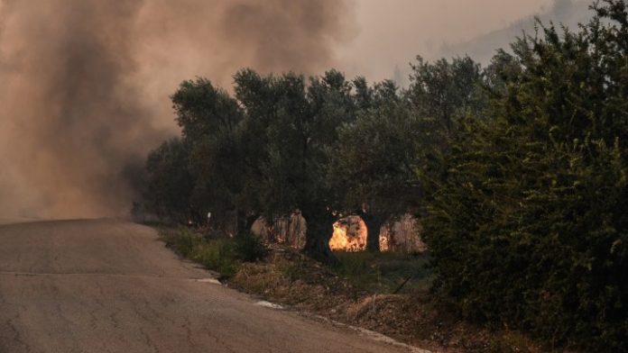 Μεγάλη φωτιά σε δύο μέτωπα στην Κερατέα