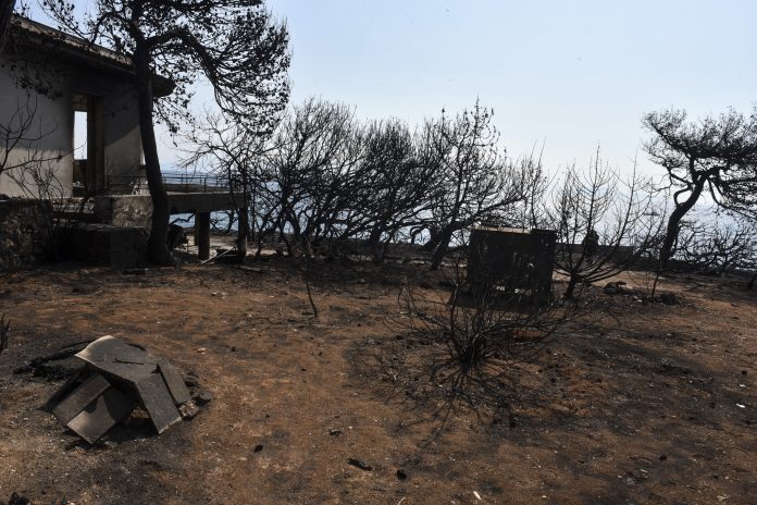 Όλα τα στοιχεία για το «μοιραίο» οικόπεδο