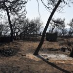 Σπίρτζης: Στη δικαιοσύνη για τις κατασχέσεις επιδομάτων των πυρόπληκτων Σπίρτζης: Στη δικαιοσύνη για τις κατασχέσεις ενισχύσεων πυρόπληκτων