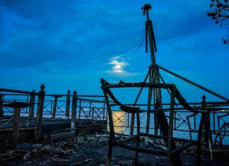 Συνέντευξη - Κορυφαίος καθηγητής: Αυτή ήταν η αιτία της φονικής πυρκαγιάς