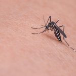 Ποιες περιοχές είναι σε επιφυλακή για τον ιό του Δυτικού Νείλου Ιος Δυτικού Νείλου