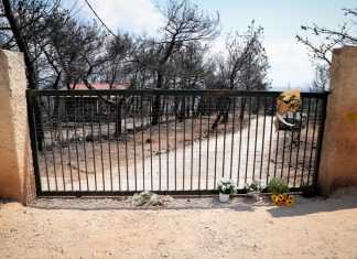 Ανείπωτη φρίκη: Τι είδε ο Ιατροδικαστής στο οικόπεδο του θανάτου