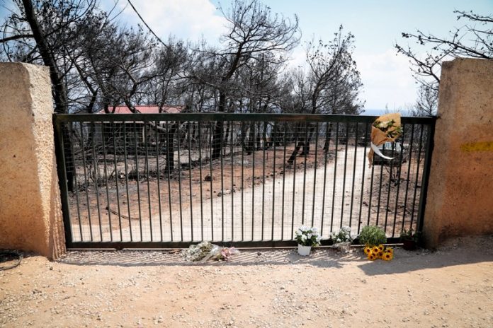 Ανείπωτη φρίκη: Τι είδε ο Ιατροδικαστής στο οικόπεδο του θανάτου