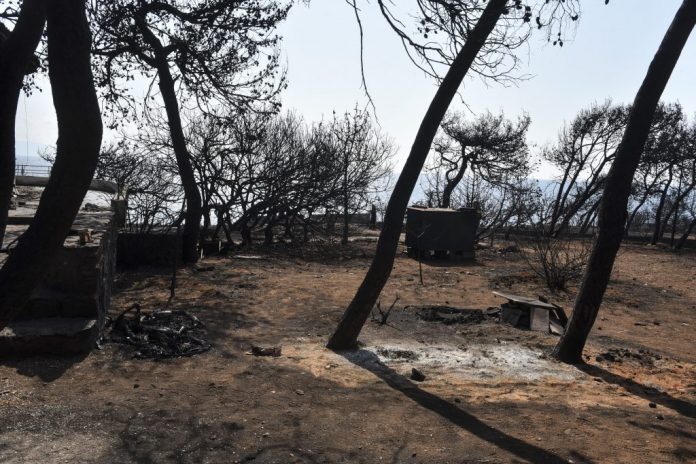 «Καμένη γη για ανθρώπους και κυβέρνηση «Καμένη γη για ανθρώπους και κυβέρνηση