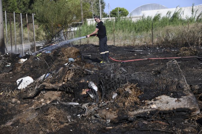 Νέα πυρκαγιά στον Σχοινιά Νέα πυρκαγιά στον Σχοινιά