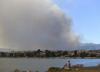 Πυρκαγιά στον Βρανά Μαραθώνα