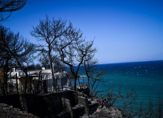 Κρίσιμα έγγραφα για τις φονικές φωτιές της Αττικής στα χέρια των εισαγγελέων