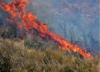 Συνεχίζονται οι πυρκαγιές σε Πάρο και Ζάκυνθο