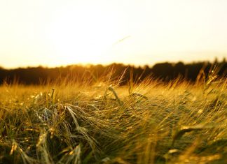 Αρχίζουν οι εκδηλώσεις του «Αγροτικού Αυγούστου 2018»