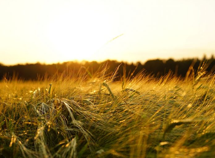 Αρχίζουν οι εκδηλώσεις του «Αγροτικού Αυγούστου 2018»