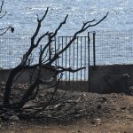 Τρέμει η ψυχή μας μετά τις πυρκαγιές: Εξώδικο στο δήμαρχο Διονύσου Τρέμει η ψυχή μας μετά τις πυρκαγιές: Εξώδικο στο δήμαρχο Διονύσου