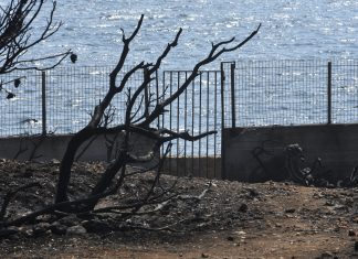 Τρέμει η ψυχή μας μετά τις πυρκαγιές: Εξώδικο στο δήμαρχο Διονύσου