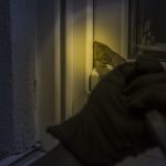 Μια ασύλληπτη ιδέα ώστε να δρα ανενόχλητος: Διαρρήκτης χειρουργήθηκε για να...